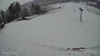 Їжак парк 5 грудня 2021 року, 2021-12-05 16:00