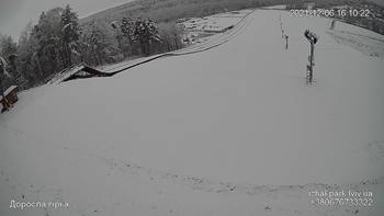 Їжак парк 6 грудня 2021 року, 2021-12-06 16:00