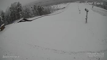 Їжак парк 7 грудня 2021 року, 2021-12-07 13:00