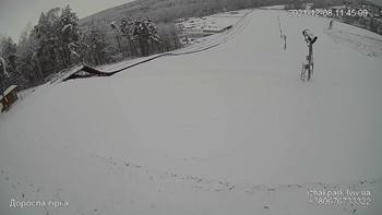 Їжак парк 8 грудня 2021 року, 2021-12-08 10:00