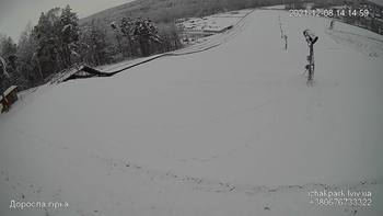 Їжак парк 8 грудня 2021 року, 2021-12-08 13:00