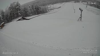 Їжак парк 9 грудня 2021 року, 2021-12-09 10:00
