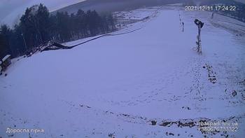 Їжак парк 11 грудня 2021 року, 2021-12-11 16:00
