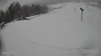 Їжак парк 12 грудня 2021 року, 2021-12-12 13:00