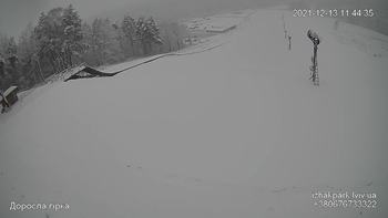 Їжак парк 13 грудня 2021 року, 2021-12-13 10:00