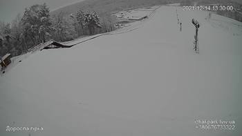 Їжак парк 14 грудня 2021 року, 2021-12-14 13:00