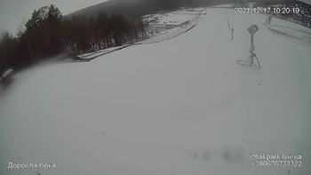 Їжак парк 17 грудня 2021 року, 2021-12-17 10:00