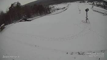 Їжак парк 17 грудня 2021 року, 2021-12-17 13:00