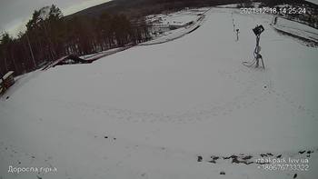 Їжак парк 18 грудня 2021 року, 2021-12-18 13:00