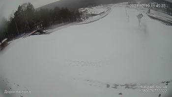 Їжак парк 19 грудня 2021 року, 2021-12-19 10:00