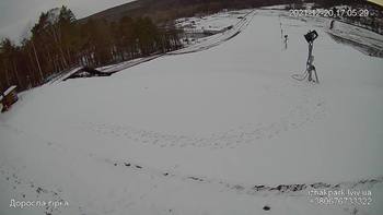 Їжак парк 20 грудня 2021 року, 2021-12-20 16:00