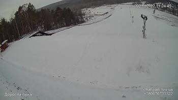 Їжак парк 22 грудня 2021 року, 2021-12-22 10:00