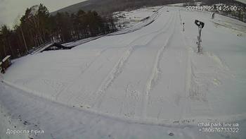 Їжак парк 22 грудня 2021 року, 2021-12-22 13:00