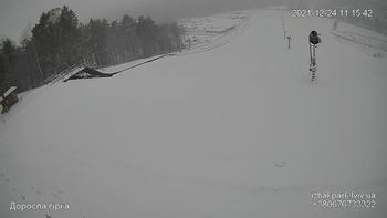 Їжак парк 24 грудня 2021 року, 2021-12-24 10:00