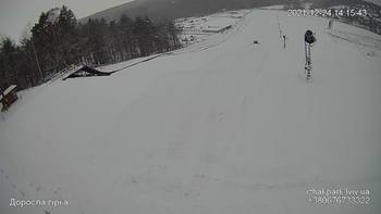 Їжак парк 24 грудня 2021 року, 2021-12-24 13:00