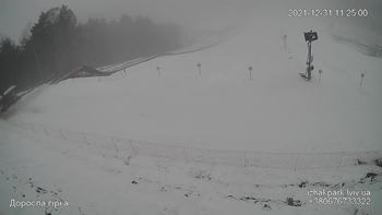 Їжак парк 31 грудня 2021 року, 2021-12-31 10:00