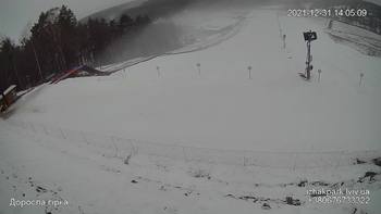 Їжак парк 31 грудня 2021 року, 2021-12-31 13:00