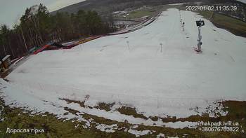 Їжак парк 2 січня 2022 року, 2022-01-02 10:00