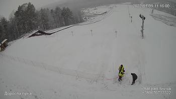 Їжак парк 9 січня 2022 року, 2022-01-09 10:00