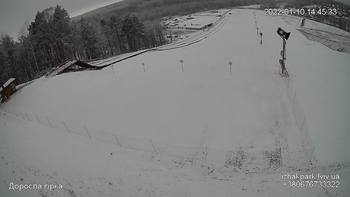 Їжак парк 10 січня 2022 року, 2022-01-10 13:00