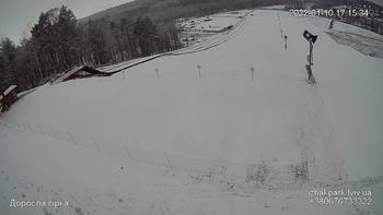 Їжак парк 10 січня 2022 року, 2022-01-10 16:00