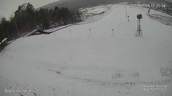 Їжак парк 14 січня 2022 року, 2022-01-14 10:00