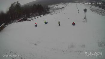 Їжак парк 14 січня 2022 року, 2022-01-14 13:00