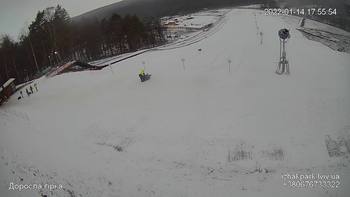 Їжак парк 14 січня 2022 року, 2022-01-14 16:00