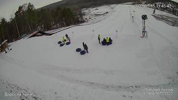 Їжак парк 15 січня 2022 року, 2022-01-15 10:00