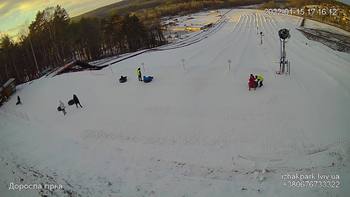 Їжак парк 15 січня 2022 року, 2022-01-15 16:00