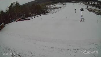 Їжак парк 17 січня 2022 року, 2022-01-17 10:00