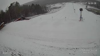 Їжак парк 17 січня 2022 року, 2022-01-17 13:00