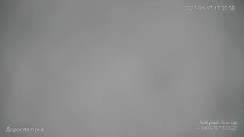 Їжак парк 17 січня 2022 року, 2022-01-17 16:00