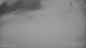Їжак парк 18 січня 2022 року, 2022-01-18 10:00