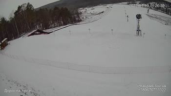 Їжак парк 19 січня 2022 року, 2022-01-19 10:00