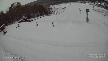 Їжак парк 19 січня 2022 року, 2022-01-19 13:00
