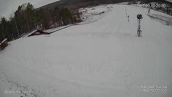 Їжак парк 20 січня 2022 року, 2022-01-20 10:00