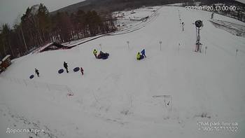 Їжак парк 20 січня 2022 року, 2022-01-20 13:00