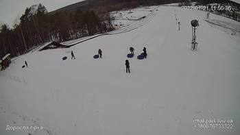 Їжак парк 21 січня 2022 року, 2022-01-21 10:00