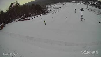 Їжак парк 21 січня 2022 року, 2022-01-21 13:00