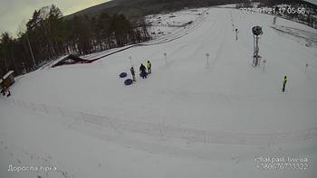 Їжак парк 21 січня 2022 року, 2022-01-21 16:00