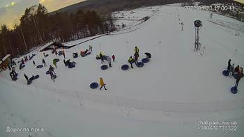 Їжак парк 23 січня 2022 року, 2022-01-23 16:00