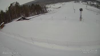 Їжак парк 24 січня 2022 року, 2022-01-24 10:00