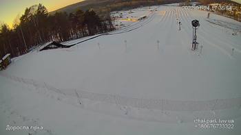 Їжак парк 24 січня 2022 року, 2022-01-24 16:00