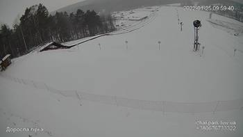Їжак парк 25 січня 2022 року, 2022-01-25 10:00
