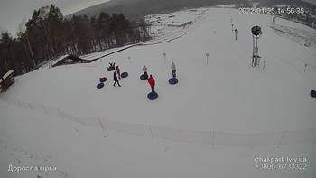 Їжак парк 25 січня 2022 року, 2022-01-25 13:00