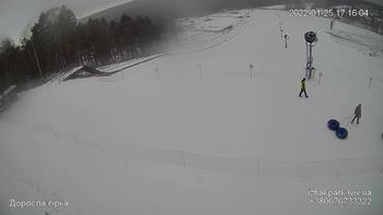 Їжак парк 25 січня 2022 року, 2022-01-25 16:00