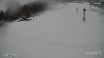 Їжак парк 26 січня 2022 року, 2022-01-26 10:00