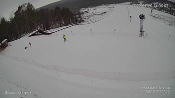 Їжак парк 26 січня 2022 року, 2022-01-26 13:00