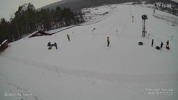 Їжак парк 26 січня 2022 року, 2022-01-26 16:00